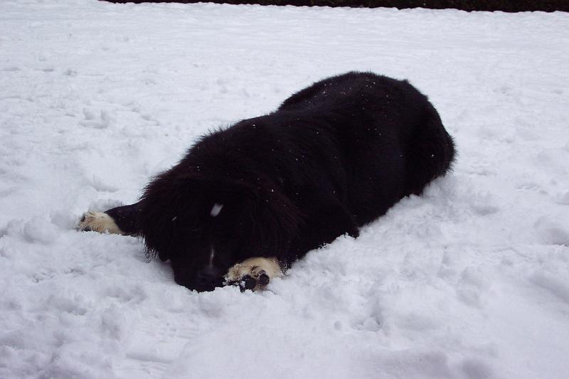 02-022-003 030.jpg
